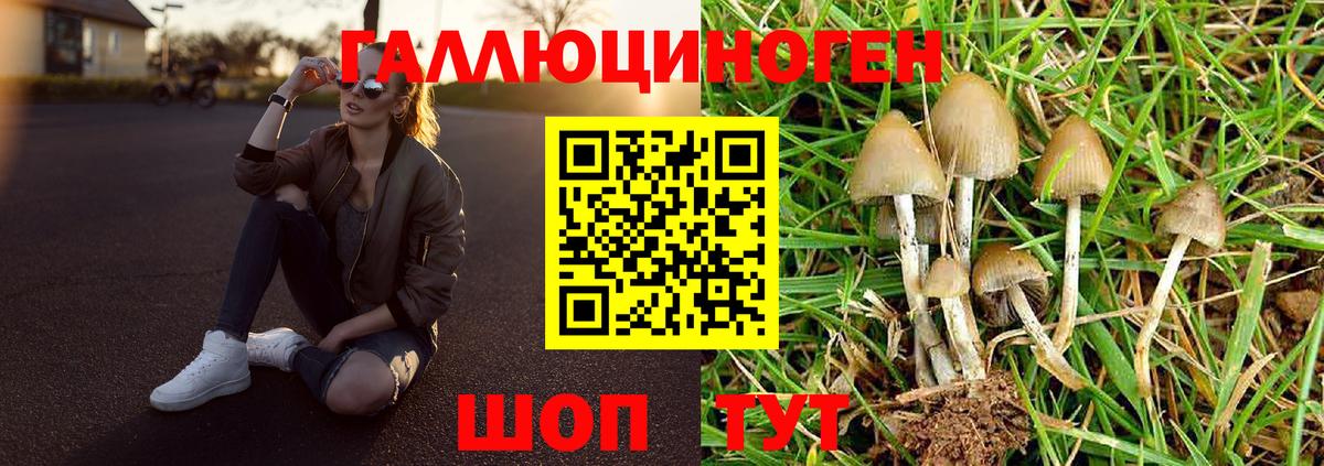 Осинники  Галлюциногенные грибы мицелий  Вход с VPN 